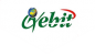 Gebit Investment Ltd logo